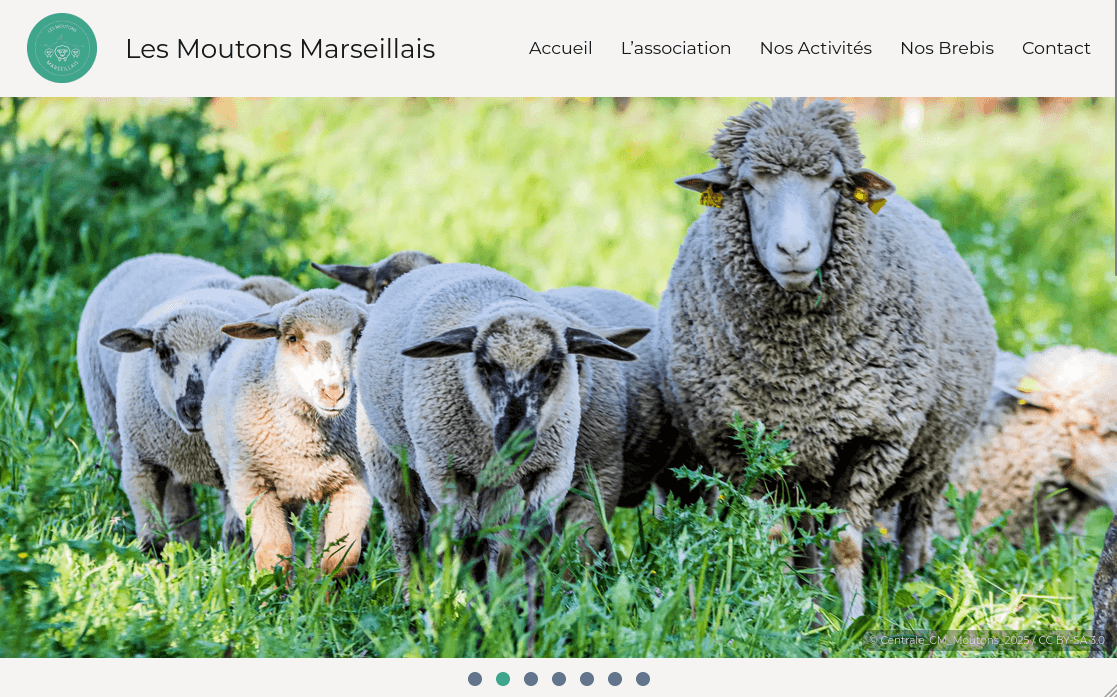 Homepage Header on the Moutons Marseillais Website
